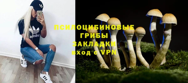 mix Богородск