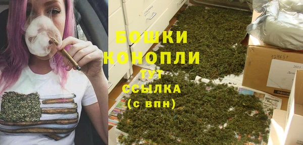 кокаин Богданович
