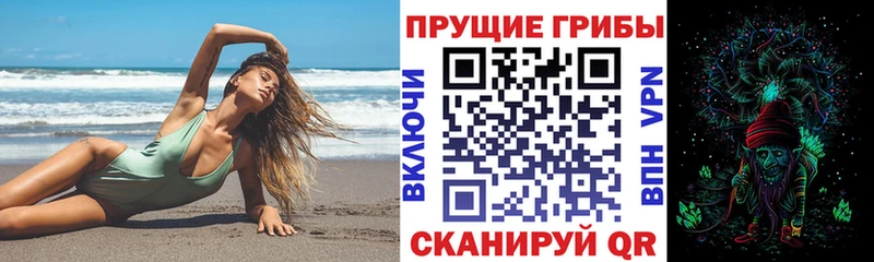 где можно купить наркотик  Дмитриев  Галлюциногенные грибы Cubensis 
